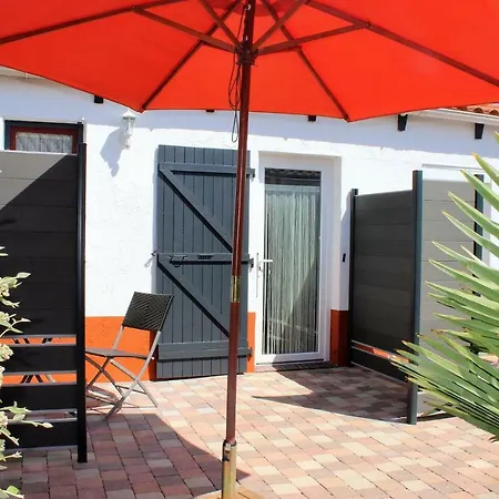 Fleur De La Rochelle Puilboreau